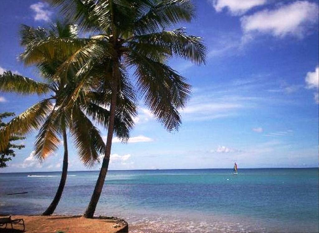 ホテル East Winds St. Lucia グロス・アイレット エクステリア 写真
