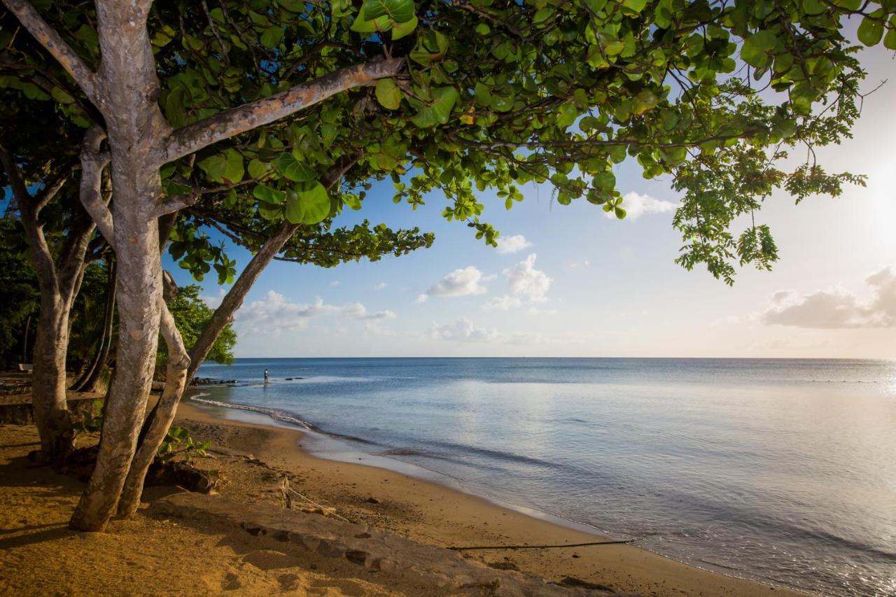 ホテル East Winds St. Lucia グロス・アイレット エクステリア 写真